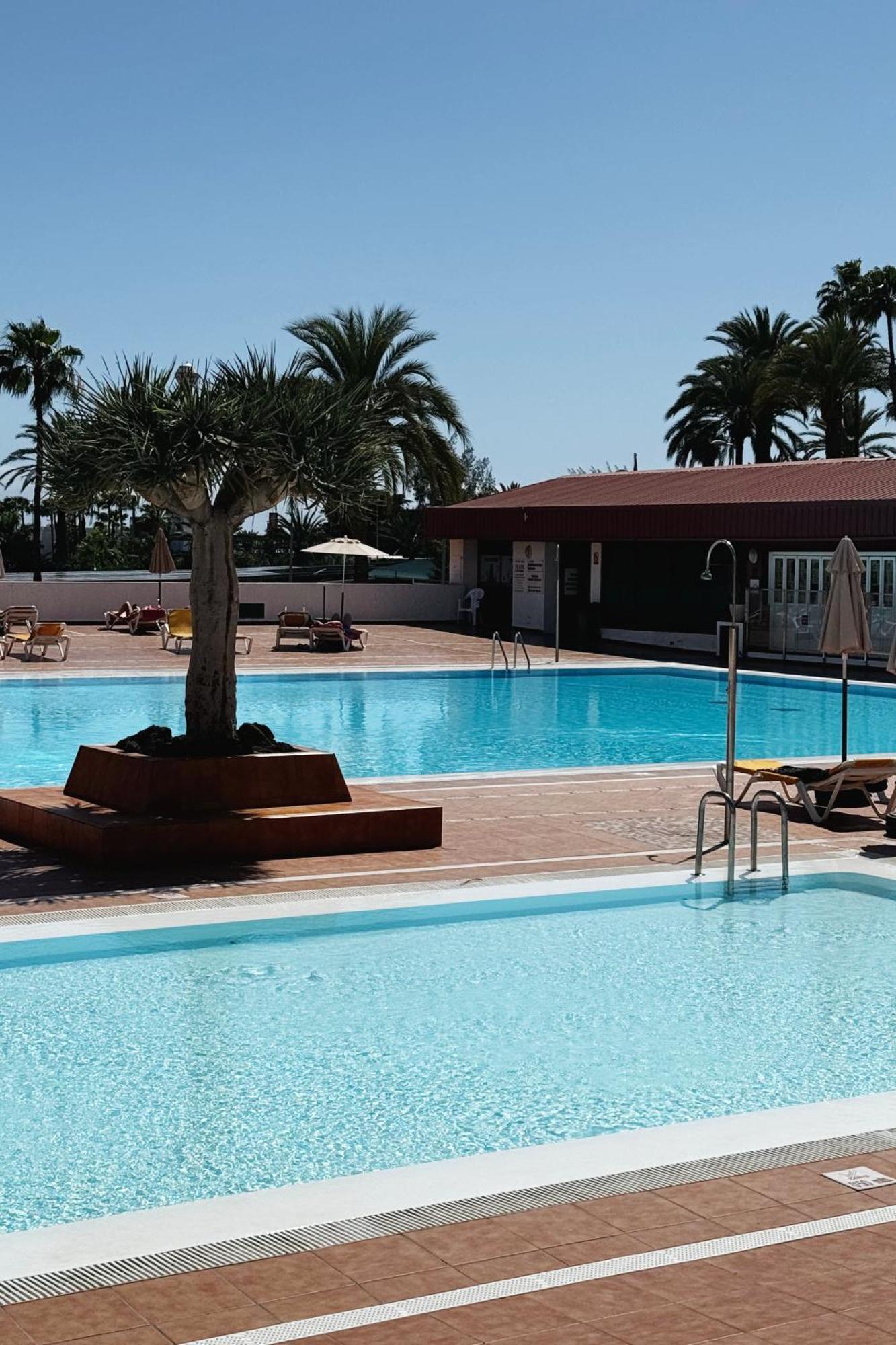 Lovely Apartment In San Agustin: Steps Away From Playa Del Ingles And Maspalomas! San Bartolomé 外观 照片